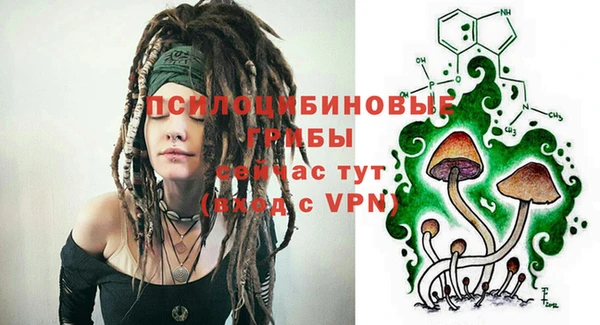 apvp Вязьма
