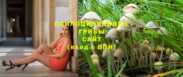 гашиш Вяземский