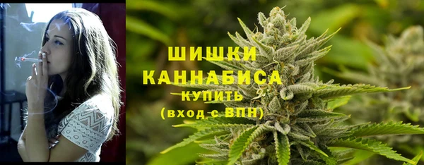 apvp Вязьма
