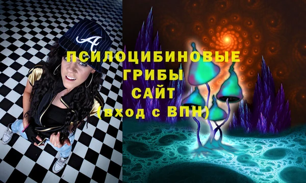 гашиш Вяземский